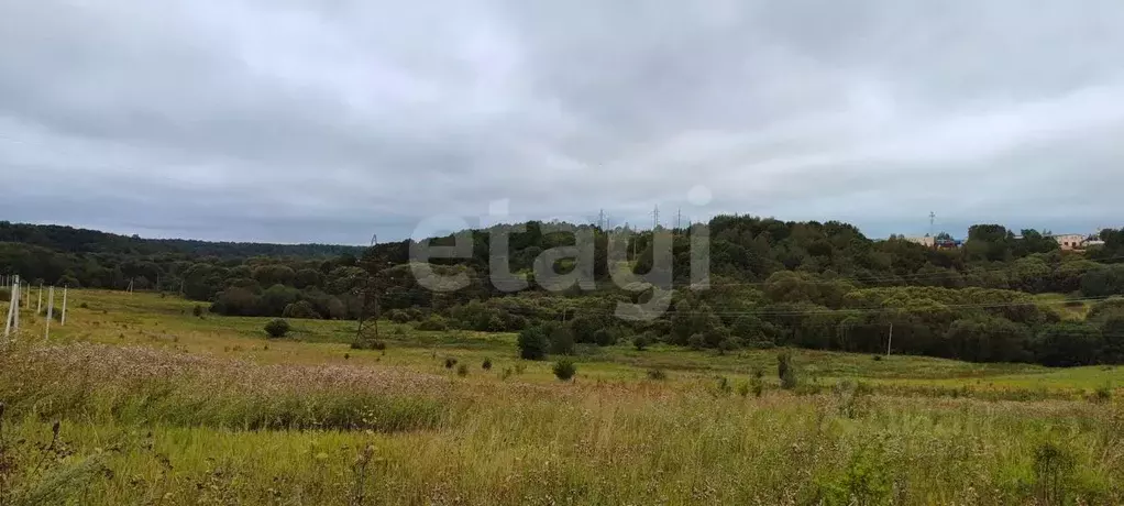 участок в смоленская область, смоленский муниципальный округ, . - Фото 0