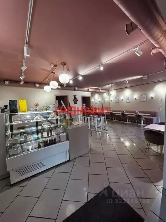 Помещение свободного назначения в Новосибирская область, Новосибирск ... - Фото 2