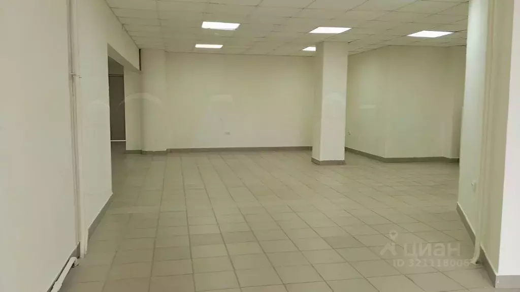 Торговая площадь в Свердловская область, Екатеринбург ул. Чкалова, 241 ... - Фото 2