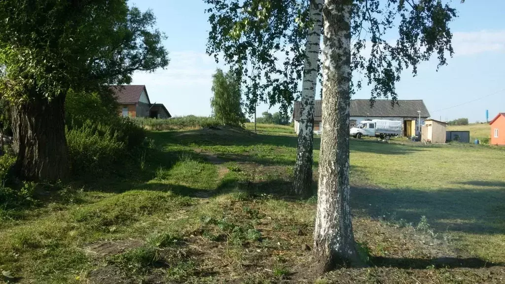Участок в Тульская область, Богородицкий район, Товарковское ... - Фото 1