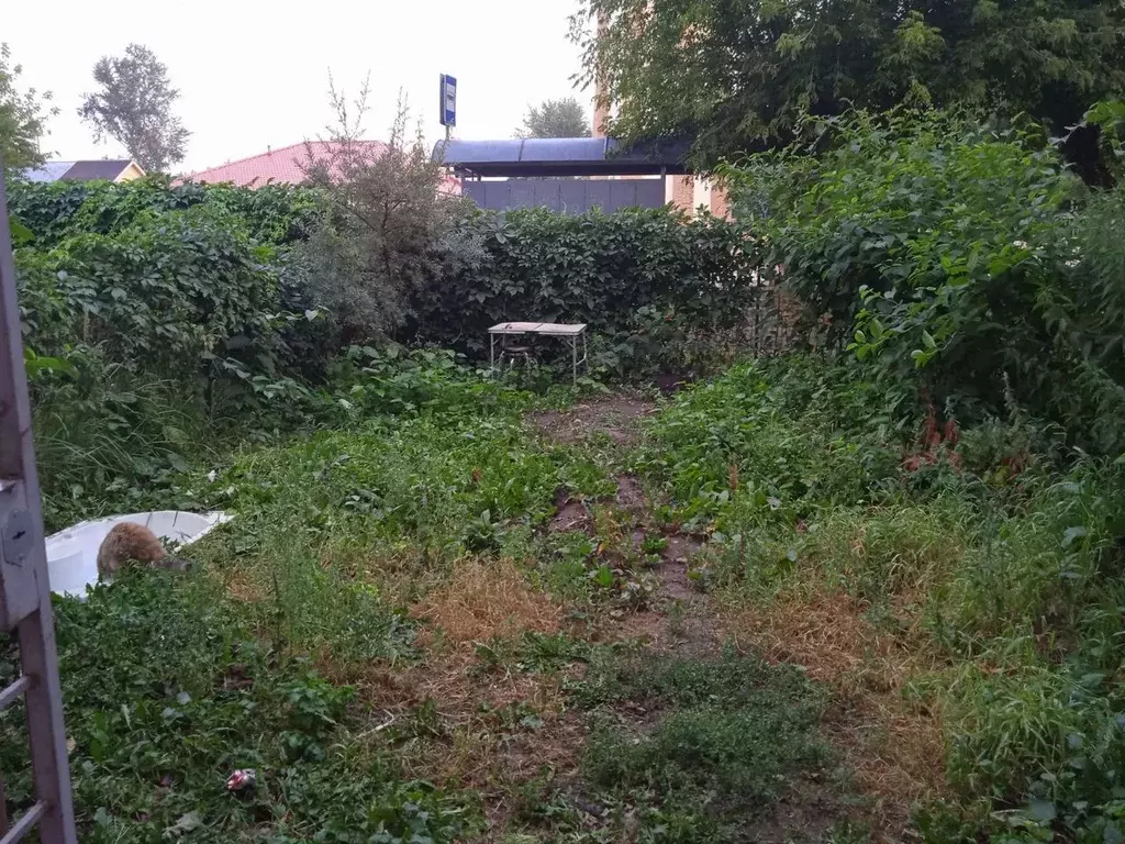 1-к кв. Московская область, Богородский городской округ, Обухово пгт ... - Фото 1