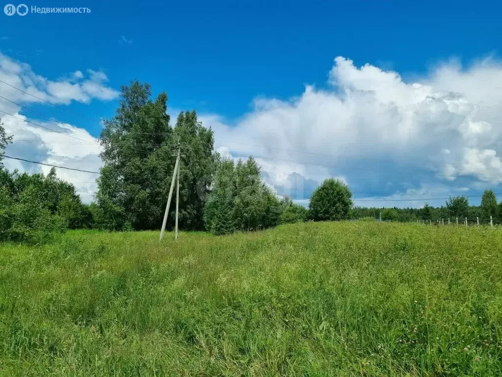 Участок в Красносельский район, Боровиковское сельское поселение, ... - Фото 2