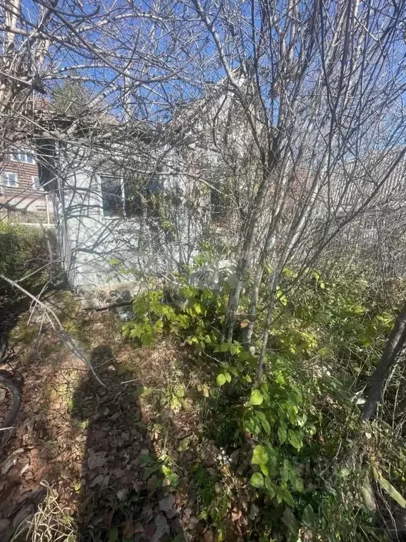 Участок в Челябинская область, Миасс Дачный СНТ, 191 (4.0 сот.) - Фото 1