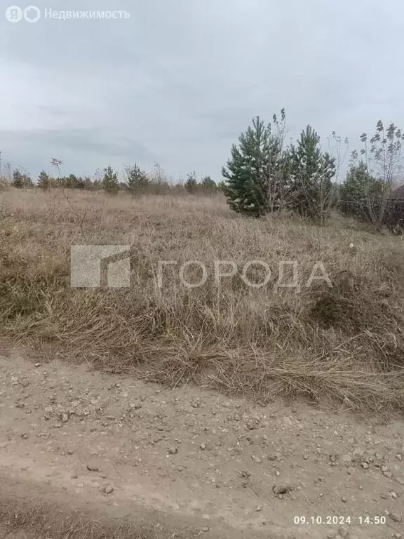 Участок в Первомайский район, посёлок Новый, Берёзовская улица, 24 (12 ... - Фото 0