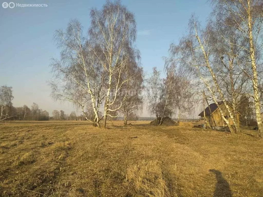 участок в томский район, село курлек (9.65 м) - Фото 0