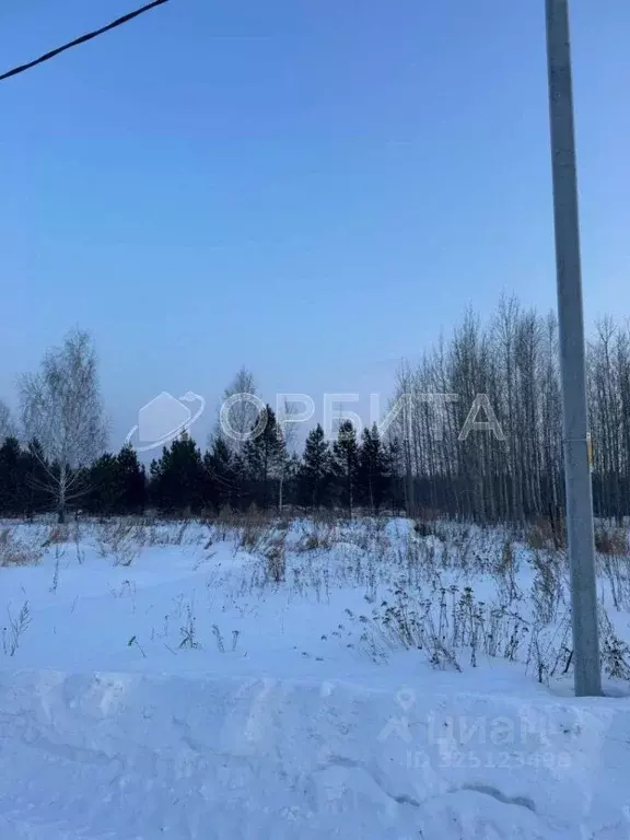 Участок в Тюменская область, Нижнетавдинский муниципальный округ, ... - Фото 1