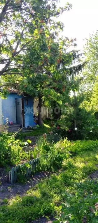 Дом в Новосибирская область, Новосибирский район, с. Криводановка, ... - Фото 1