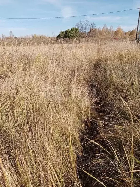 Участок в Тюменская область, Тюмень Садовое товарищество Липовый ... - Фото 1