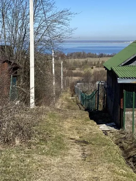 Участок в Ленинградская область, Ломоносовский район, Пениковское ... - Фото 1