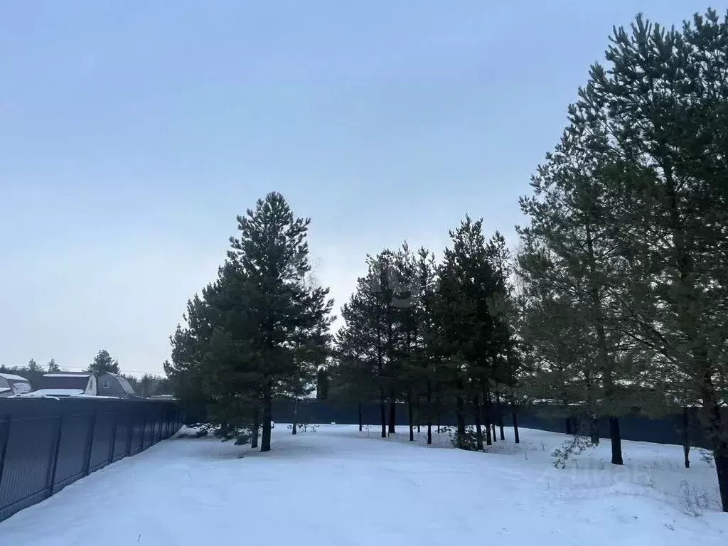 Участок в Воронежская область, Рамонский район, Айдаровское с/пос, ... - Фото 2