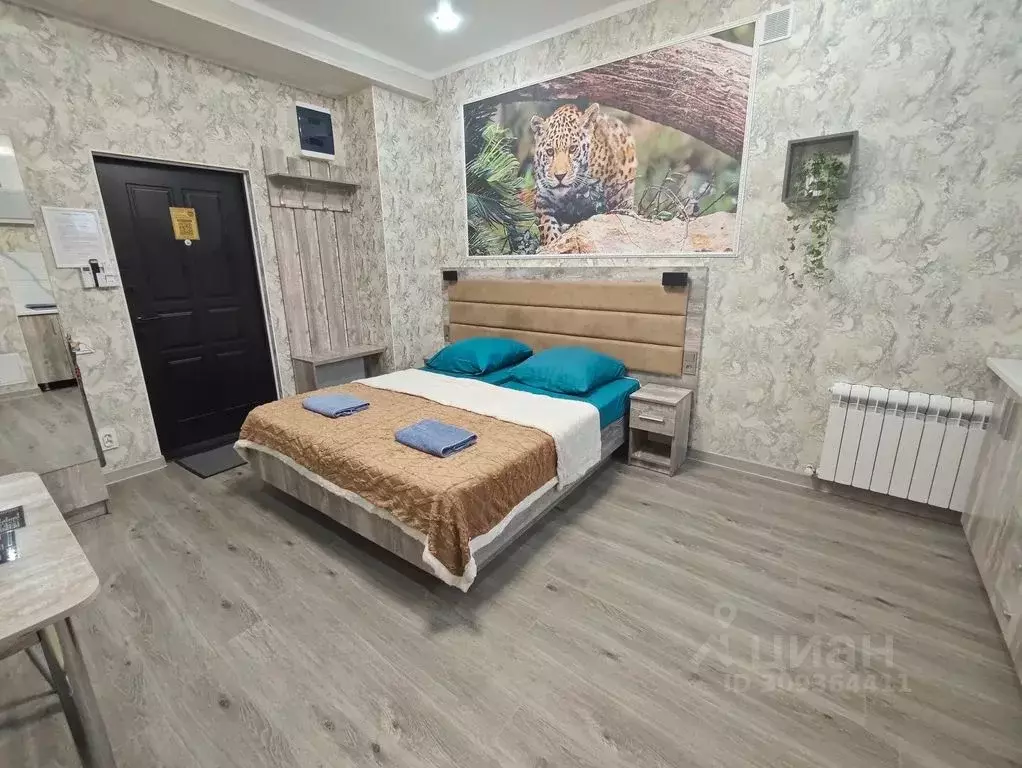 Студия Ростовская область, Шахты просп. Красной Армии, 136 (25.0 м) - Фото 2