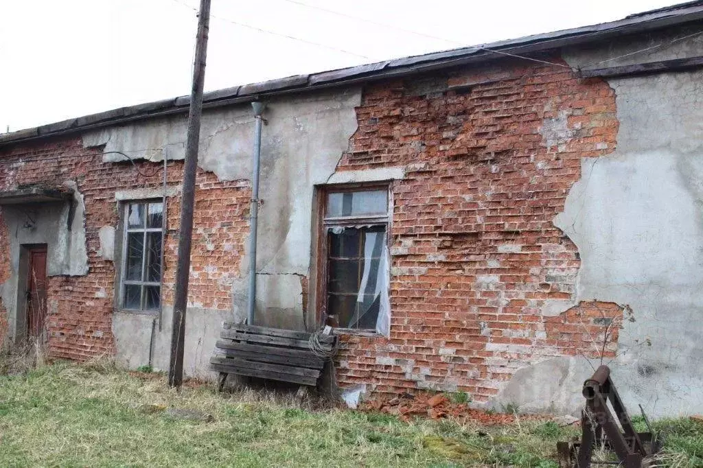 Помещение свободного назначения в Смоленская область, Велиж Советская ... - Фото 0