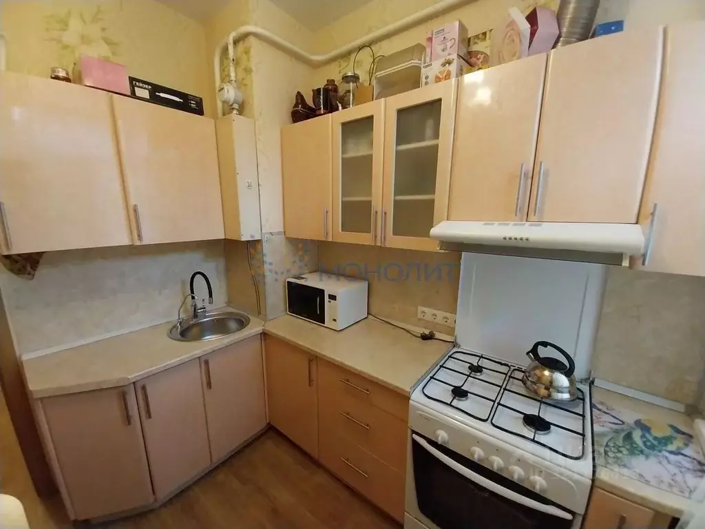 1-к кв. Нижегородская область, Нижний Новгород просп. Гагарина, 110 ... - Фото 1