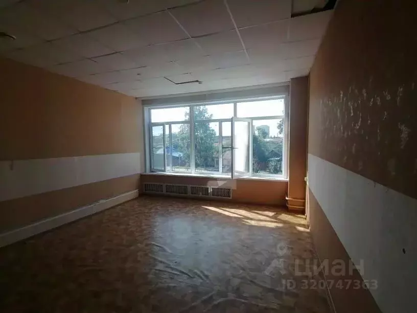 Помещение свободного назначения в Воронежская область, Воронеж ул. ... - Фото 0