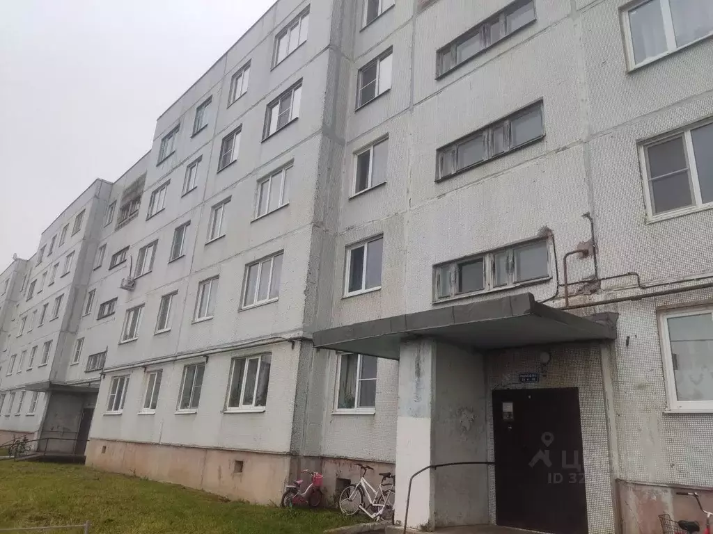 1-к кв. Новгородская область, Новгородский район, Борковское с/пос, д. ... - Фото 2