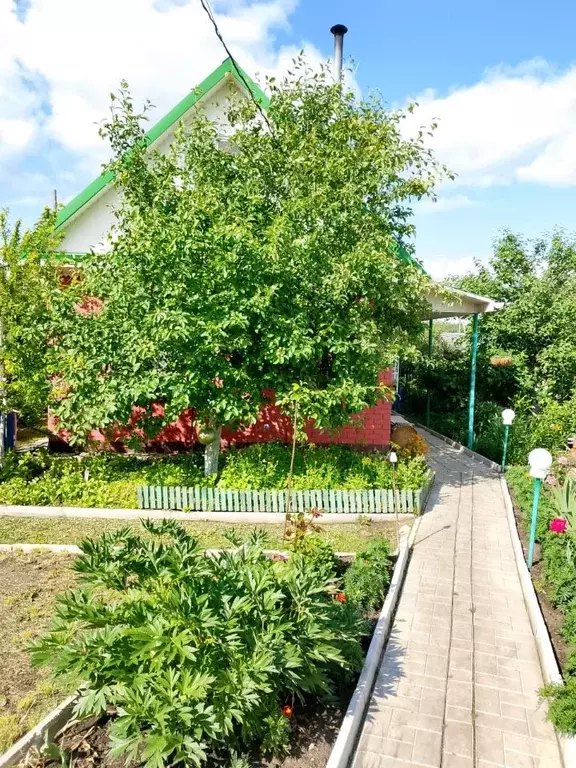 Дом в Омская область, Любинский район, Дружба СНТ  (25 м) - Фото 0