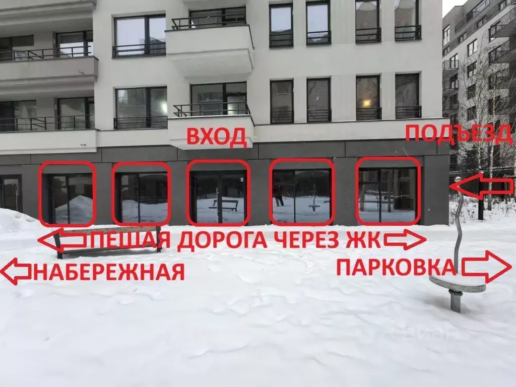 Помещение свободного назначения в Новосибирская область, Новосибирск ... - Фото 2