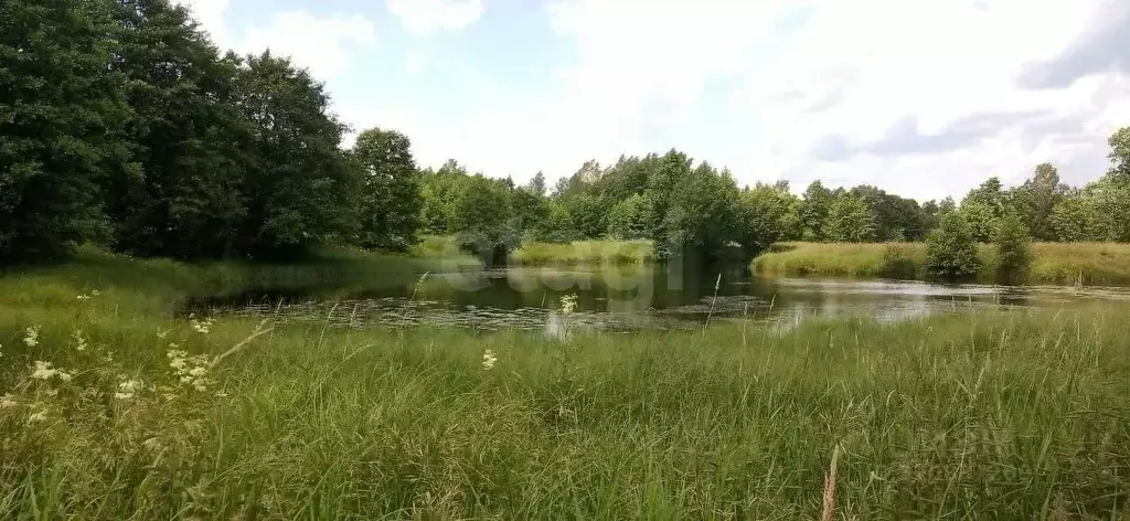 Участок в Владимирская область, Судогодский район, д. Райки  (14.53 ... - Фото 0