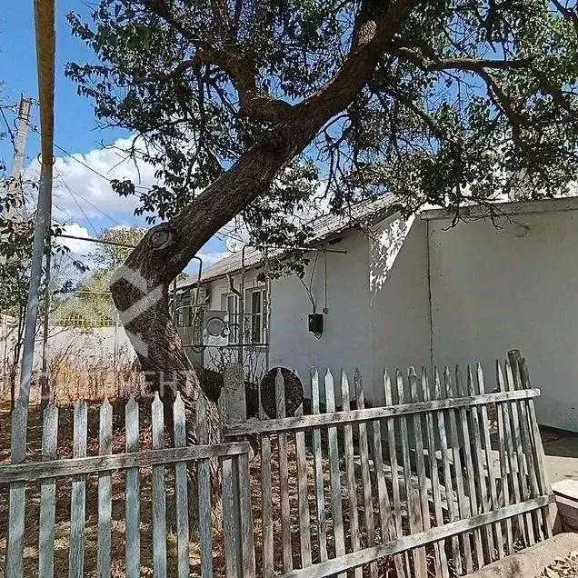 Дом в Крым, Черноморский район, с. Далекое ул. Мичурина, 7 (60 м) - Фото 1