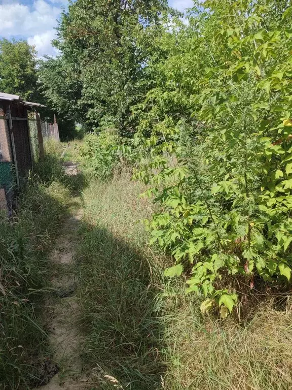 Участок в Нижегородская область, Дзержинск Мир СТ, 25 (5.5 сот.) - Фото 1