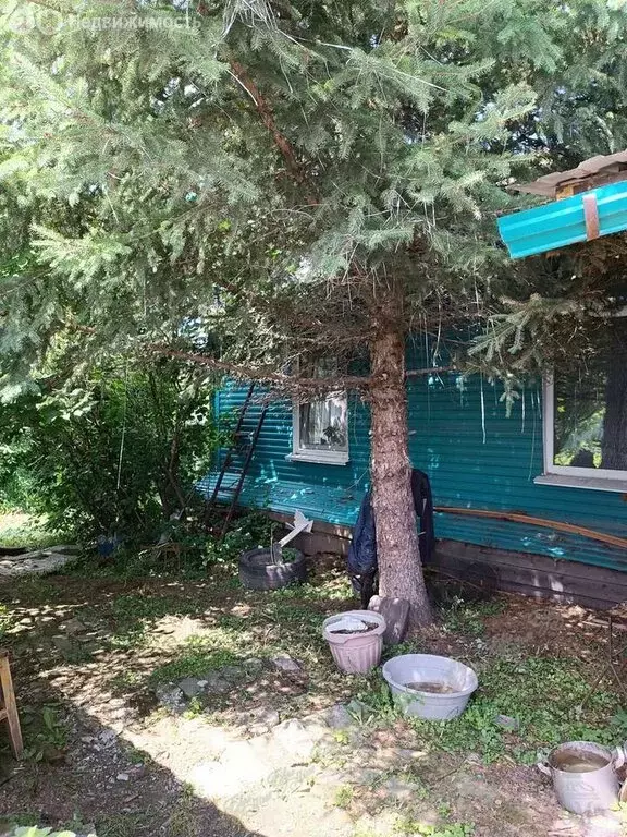 Дом в Птичник, Октябрьская улица, 2 (31.5 м) - Фото 0