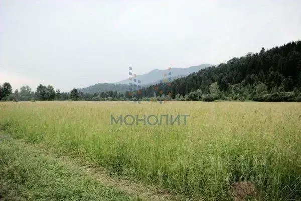 Участок, 5000 сот., сельхоз (снт или днп) - Фото 1