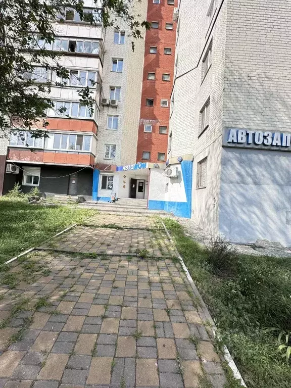 Торговая площадь в Белгородская область, Белгород ул. Белгородского ... - Фото 1