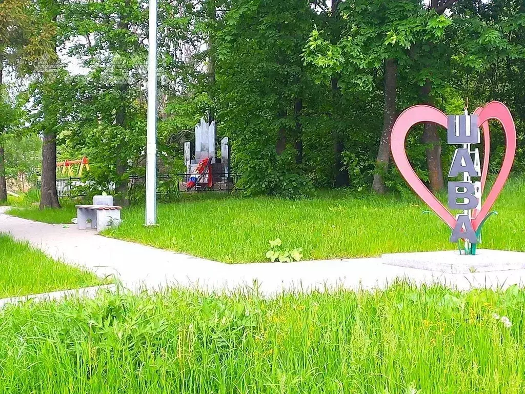 Участок в Нижегородская область, Нижний Новгород с. Шава, ул. Новый ... - Фото 1