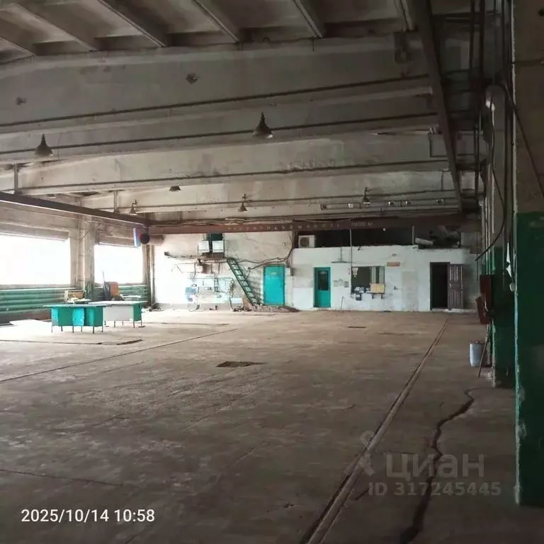 Помещение свободного назначения в Оренбургская область, Оренбург ... - Фото 1