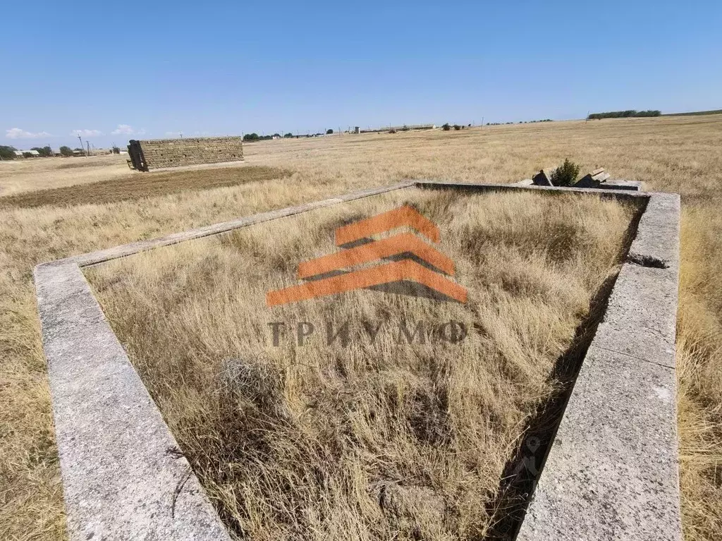 Участок в Крым, Кировский район, Синицынское с/пос, с. Васильковое ул. ... - Фото 1