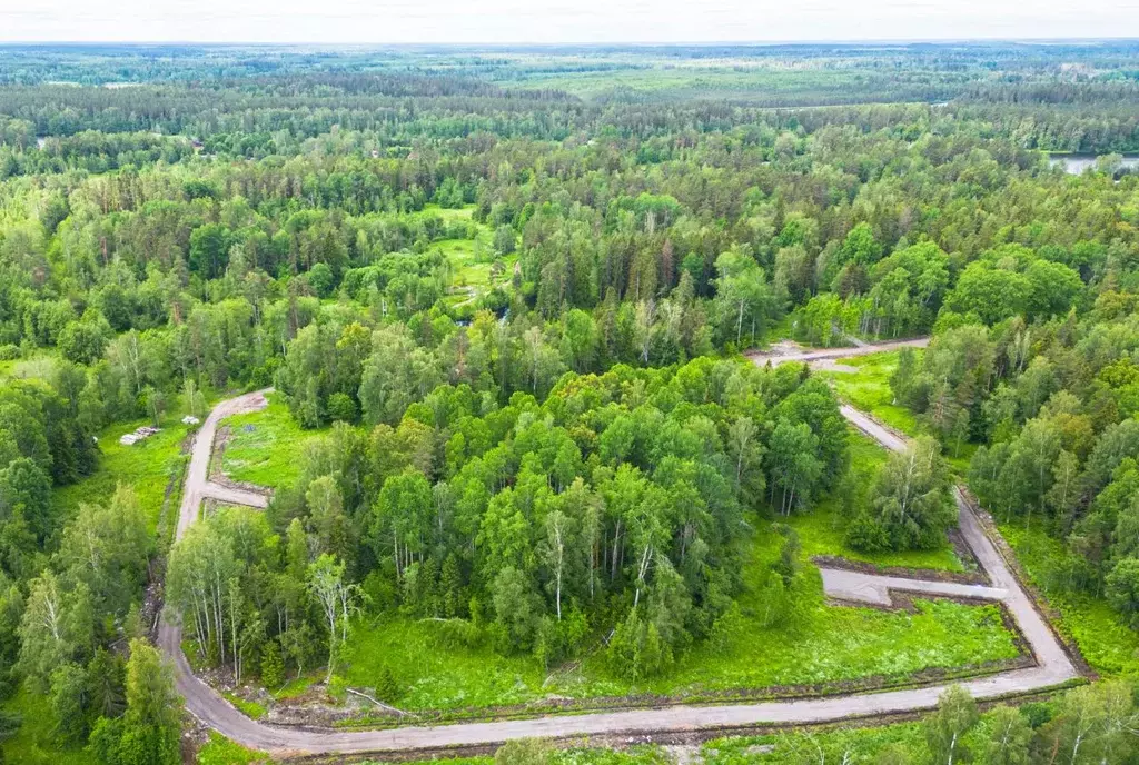 Участок в Ленинградская область, Приозерский район, Мельниковское ... - Фото 2