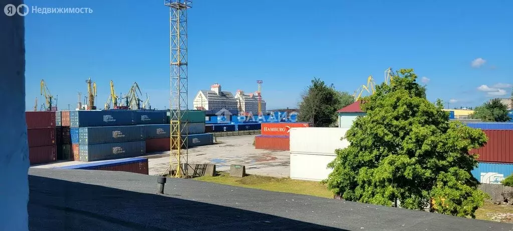 Помещение свободного назначения (1250 м) - Фото 2