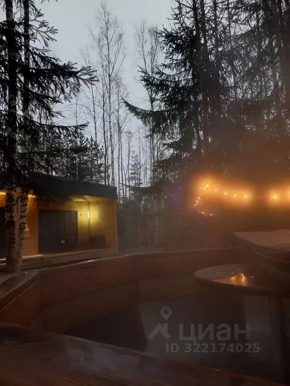 Дом в Новгородская область, Новгородский район, Савинское с/пос, д. ... - Фото 1