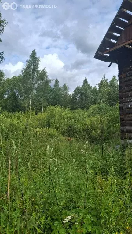 Участок в Малая Вишера, улица Некрасова, 118 (12 м) - Фото 0