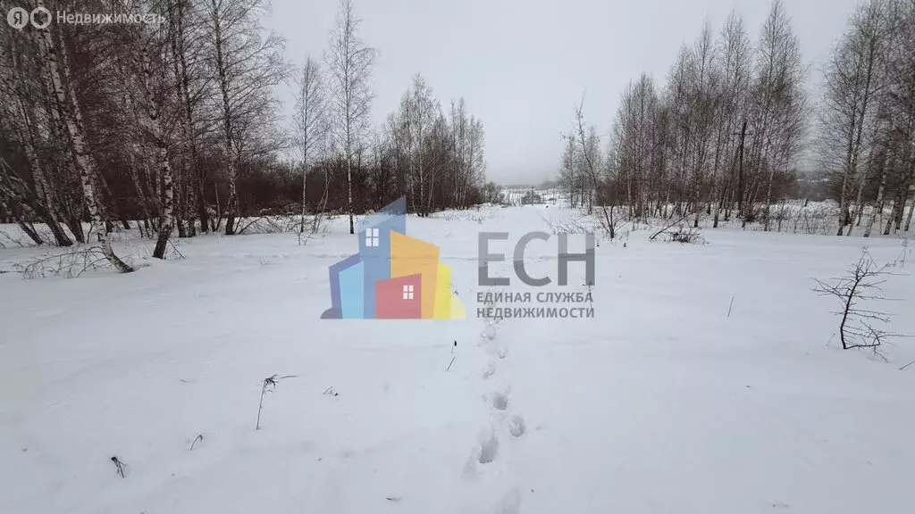 Участок в Тульская область, городской округ Тула, село Частое, ... - Фото 1