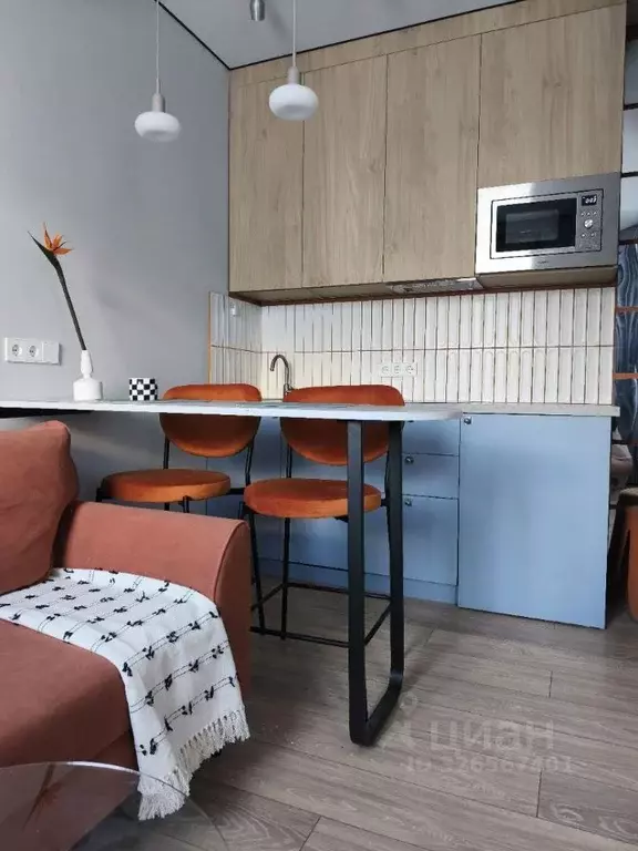 Студия Москва Березовая аллея, 19к4 (25.0 м) - Фото 1