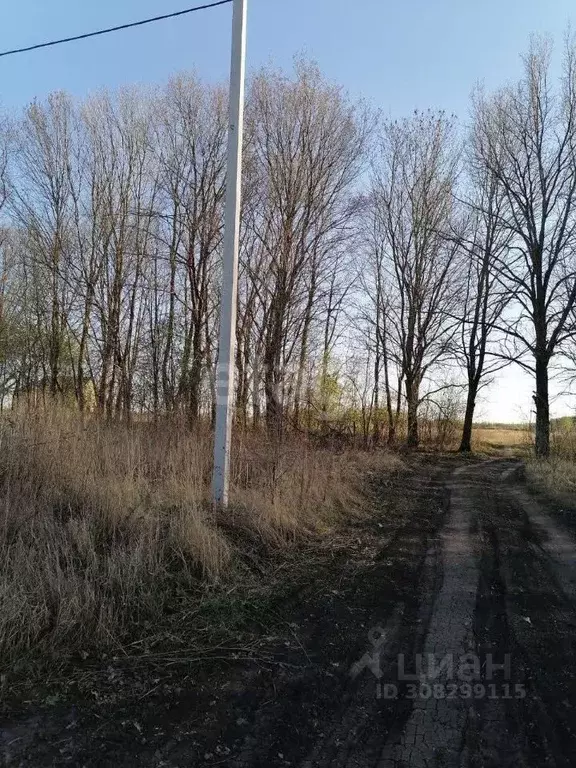 Участок в Мордовия, Саранск городской округ, пос. Добровольный ул. ... - Фото 0