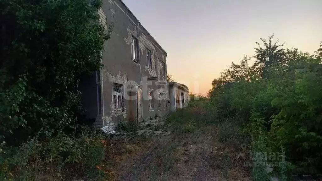 Дом в Самарская область, с. Приволжье ул. Мичурина, 17 (207 м) - Фото 1