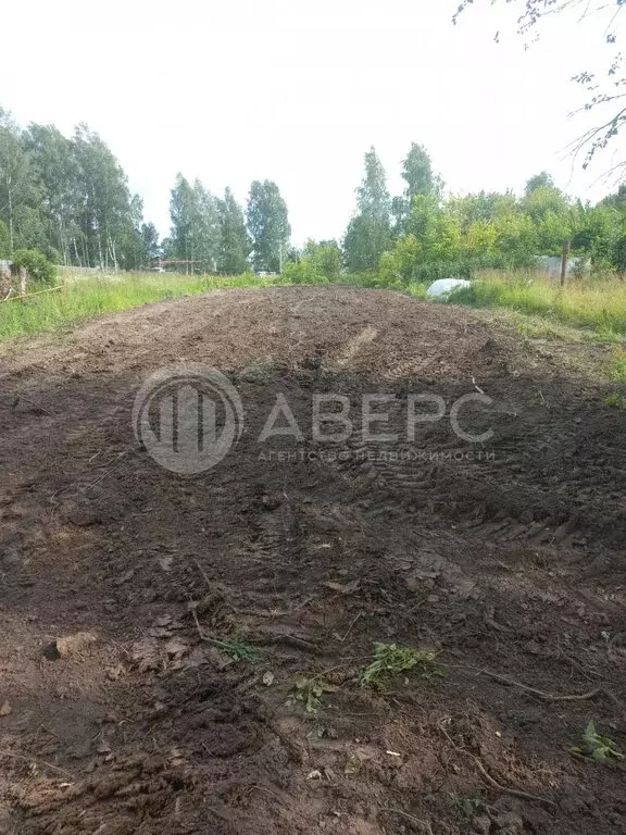 Участок в Владимирская область, округ Муром, село Лазарево (6 м) - Фото 1