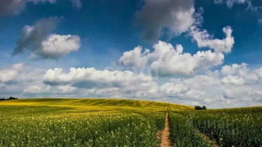 Участок в Башкортостан, Чишминский район, Лесной сельсовет, с. ... - Фото 0