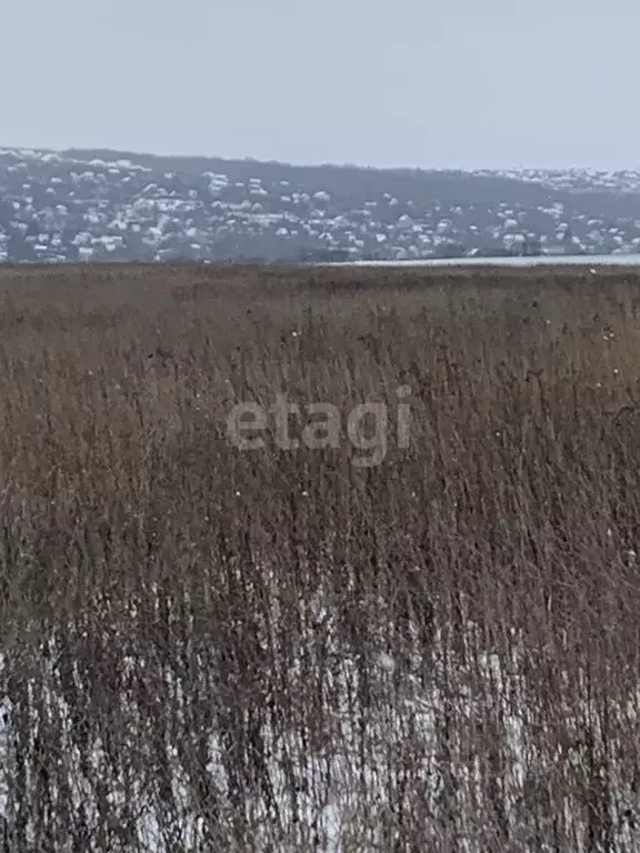 Участок в Белгородская область, Белгородский район, Головинское с/пос, ... - Фото 2