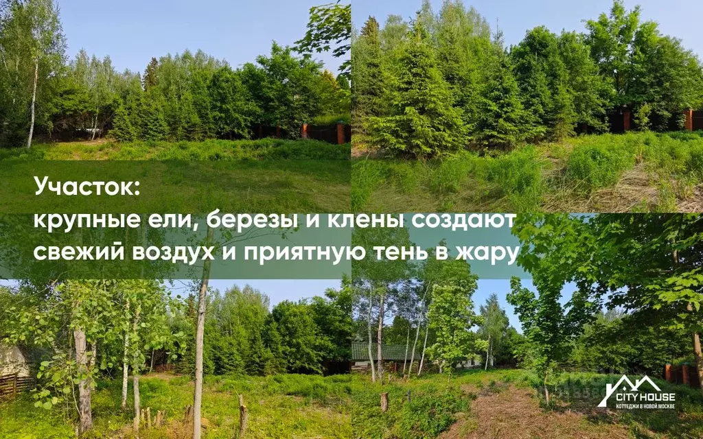 Участок в Москва Первомайское поселение, д. Фоминское, ул. Широкая ... - Фото 0