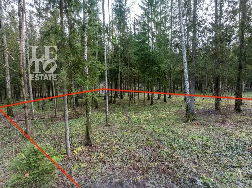 Участок в Московская область, Мытищи городской округ, Среди Своих кп  ... - Фото 0