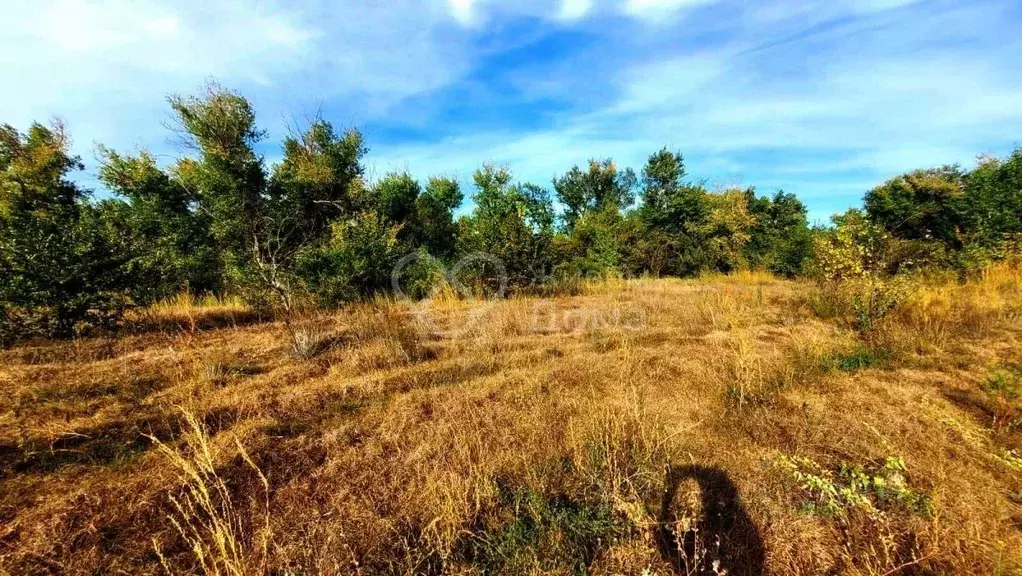 Участок в Волгоградская область, Средняя Ахтуба рп  (205.0 сот.) - Фото 1