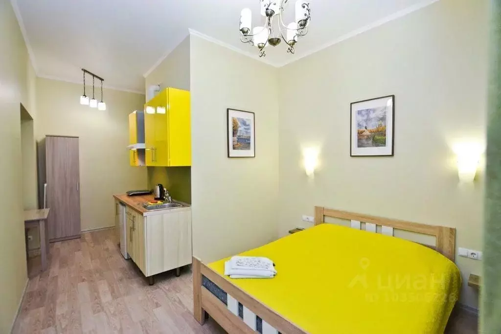 Студия Санкт-Петербург наб. Канала Грибоедова, 35 (20.0 м) - Фото 1
