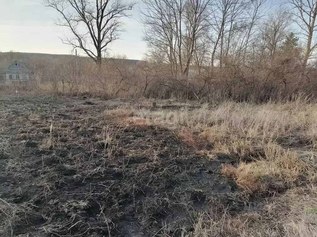 Участок в Мордовия, Лямбирский район, с. Смольково ул. Выглядовка ... - Фото 1