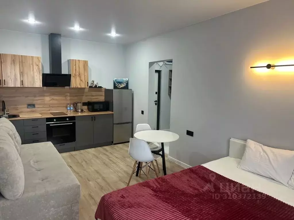 Студия Алтайский край, Барнаул Трудовой пер., 28А (27.0 м) - Фото 1