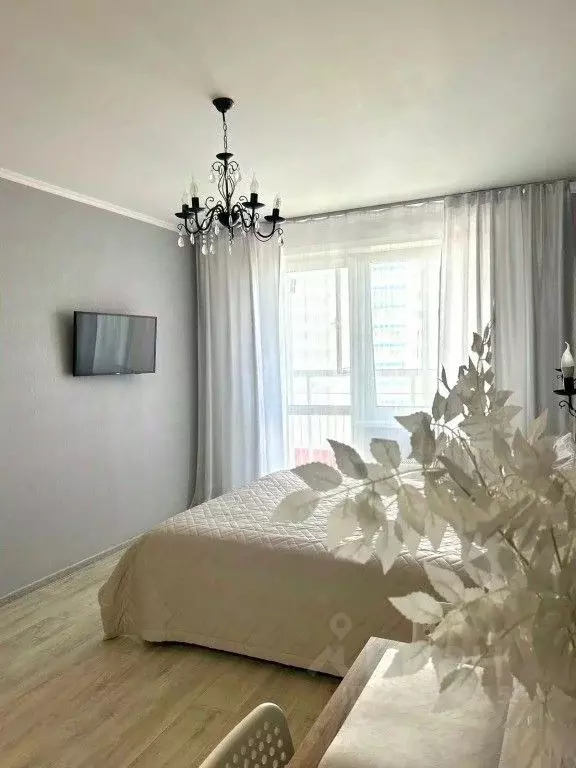 1-к кв. Красноярский край, Красноярск наб. Ярыгинская, 9 (30.0 м) - Фото 2