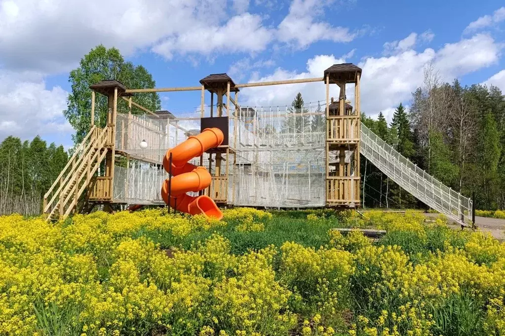 Участок в Ленинградская область, Приозерский район, Раздольевское ... - Фото 1