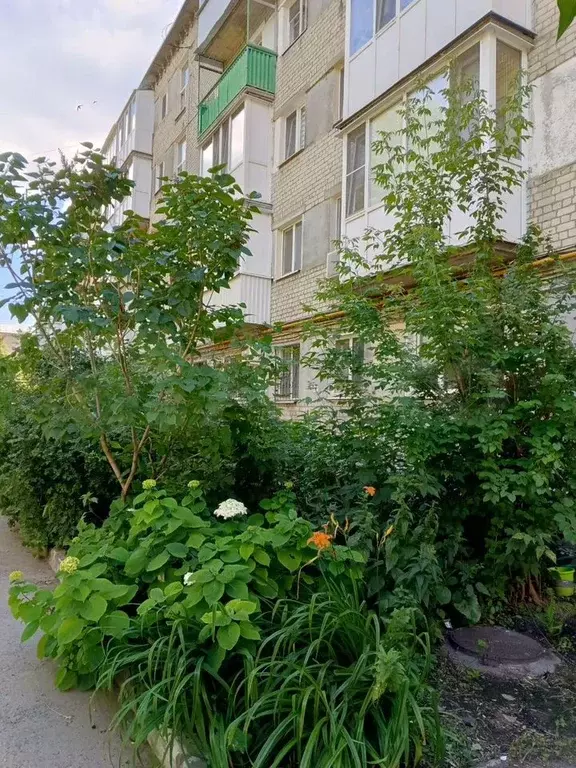 1-к. квартира, 32,5 м, 4/5 эт. - Фото 1